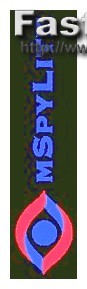 Mspy vs Bark